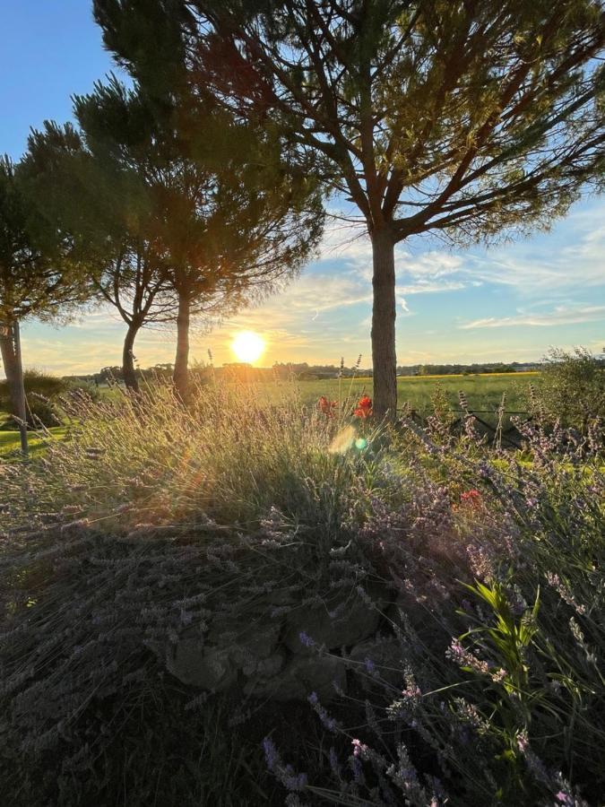 Agriturismo La Colmata Cesa  Екстериор снимка