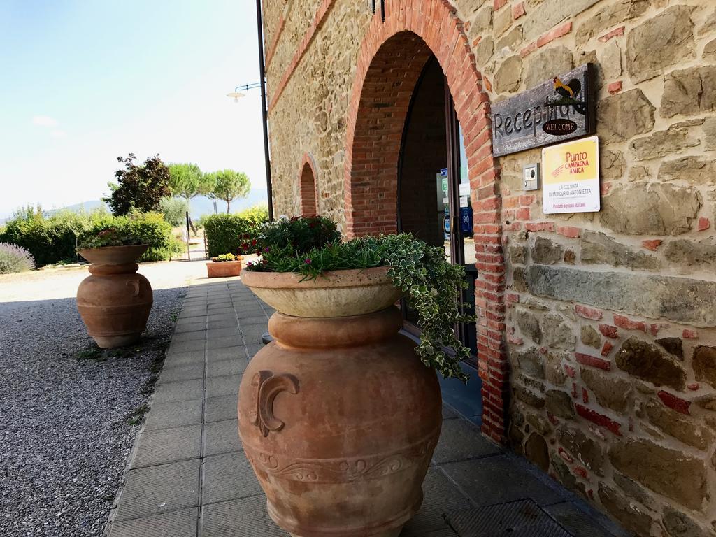 Agriturismo La Colmata Cesa  Екстериор снимка
